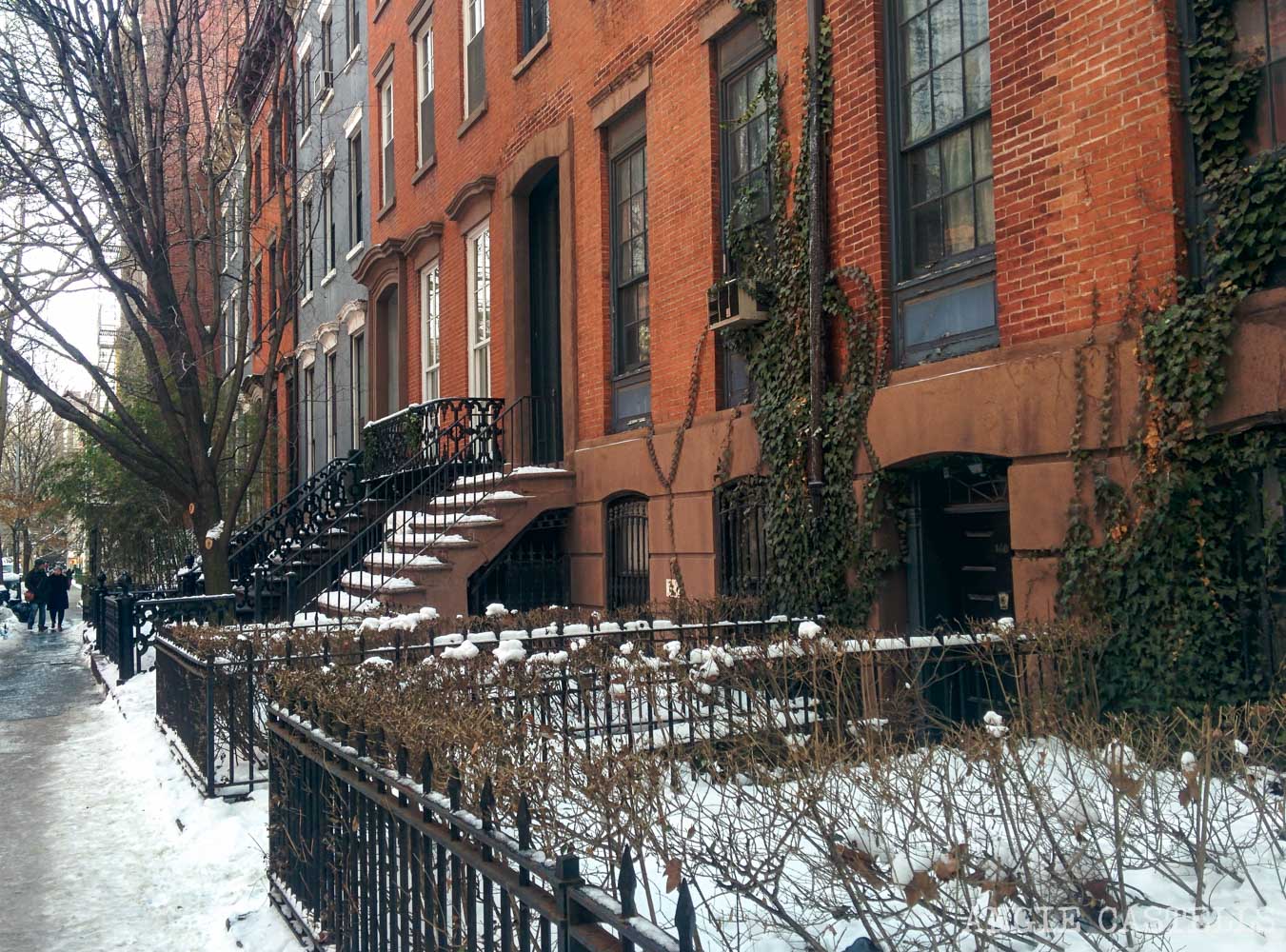 Marzo en Nueva York Qu u00e9 hacer, y tiempo (2017) Marzo en Nueva York Qu u00e9 hacer, y tiempo (2017)