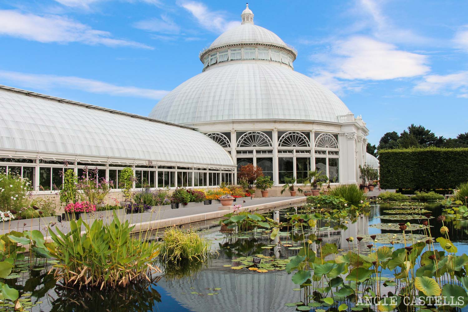 Visitar Jardin Botanico Nueva York Bronx