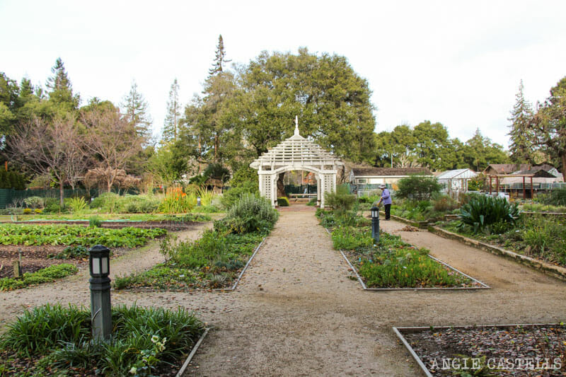 Guia Silicon Valley California Visitar Palo Alto